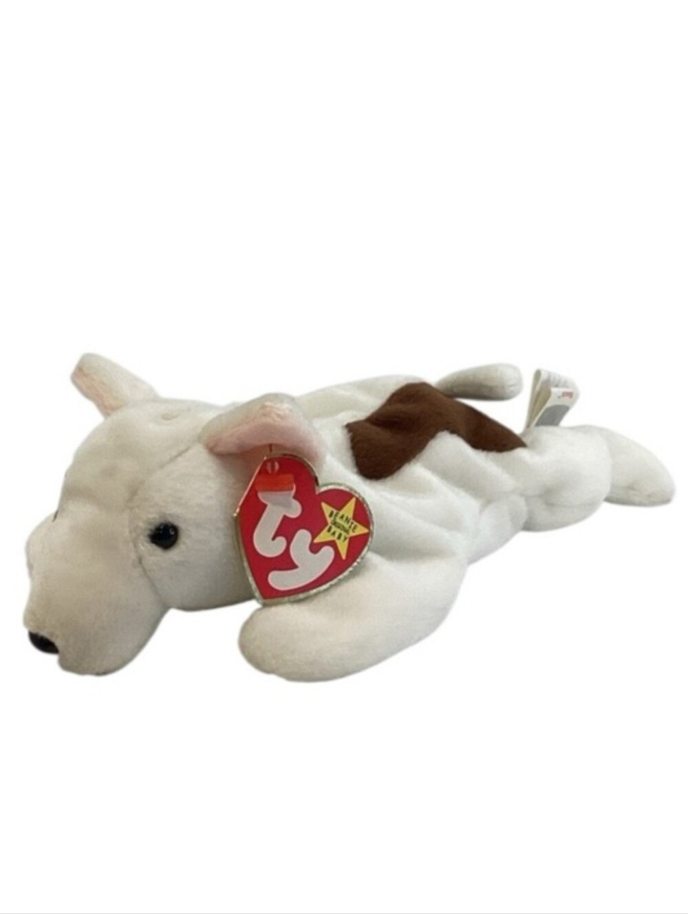 🍄 TY “Dutch” Beanie Baby Bull Terrier Dog - NWT